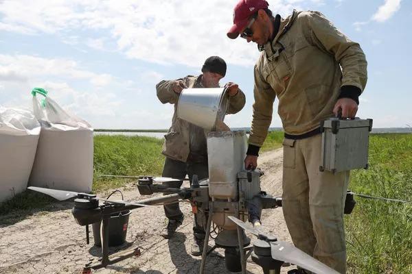 - Ảnh 7. - Ảnh 7.