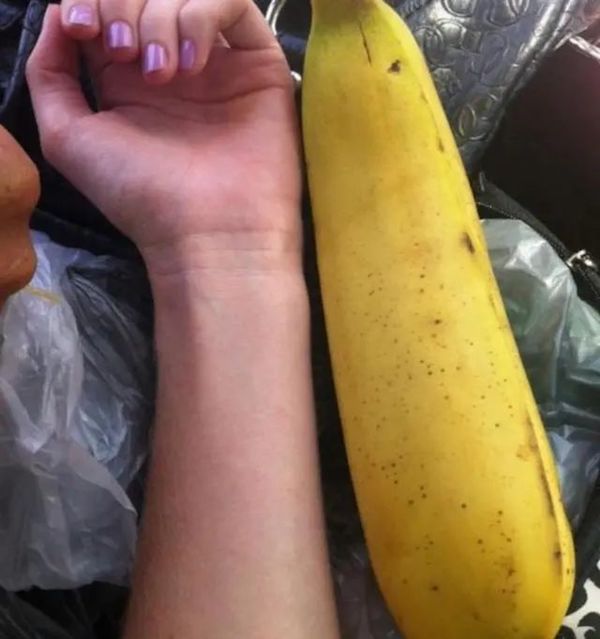 Giống chuối kỳ lạ nhất thế giới, mỗi quả c&oacute; thể nặng tới 2kg - Ảnh 2.