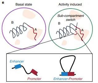 Kí ức được hình thành như thế nào? - Ảnh 3. Kí ức được hình thành như thế nào? - Ảnh 3.