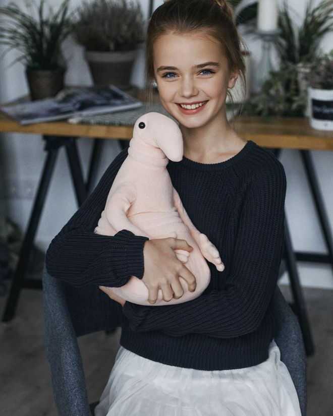 - Ảnh 5. - Ảnh 5.