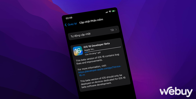 C&aacute;ch hạ cấp từ iOS 16 Developer BETA xuống phi&ecirc;n bản thấp hơn m&agrave; kh&ocirc;ng mất dữ liệu - Ảnh 1.