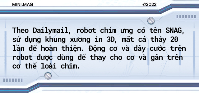 [mini] Giờ đ&acirc;y c&aacute;c nh&agrave; khoa học đ&atilde; c&oacute; thể chế tạo ra một con robot sở hữu khả năng bay lượn v&agrave; hạ c&aacute;nh như lo&agrave;i chim! - Ảnh 2.