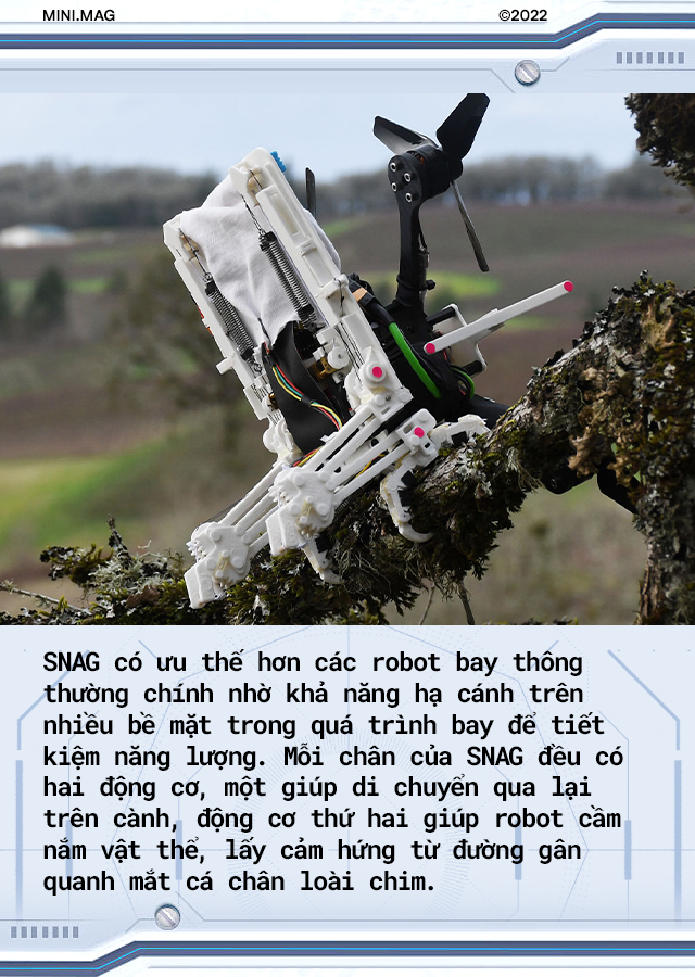 [mini] Giờ đ&acirc;y c&aacute;c nh&agrave; khoa học đ&atilde; c&oacute; thể chế tạo ra một con robot sở hữu khả năng bay lượn v&agrave; hạ c&aacute;nh như lo&agrave;i chim! - Ảnh 7.