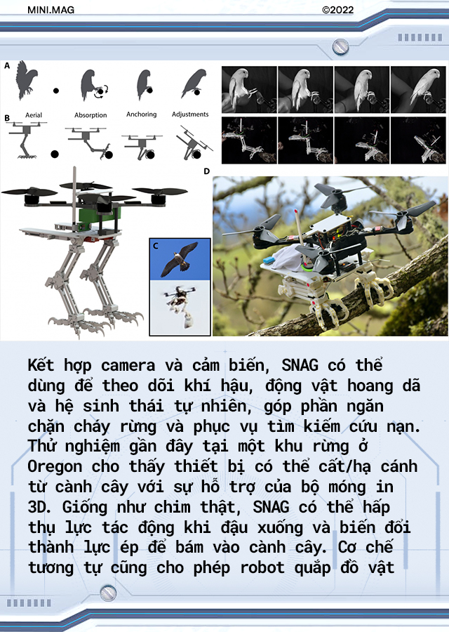 [mini] Giờ đ&acirc;y c&aacute;c nh&agrave; khoa học đ&atilde; c&oacute; thể chế tạo ra một con robot sở hữu khả năng bay lượn v&agrave; hạ c&aacute;nh như lo&agrave;i chim! - Ảnh 8.