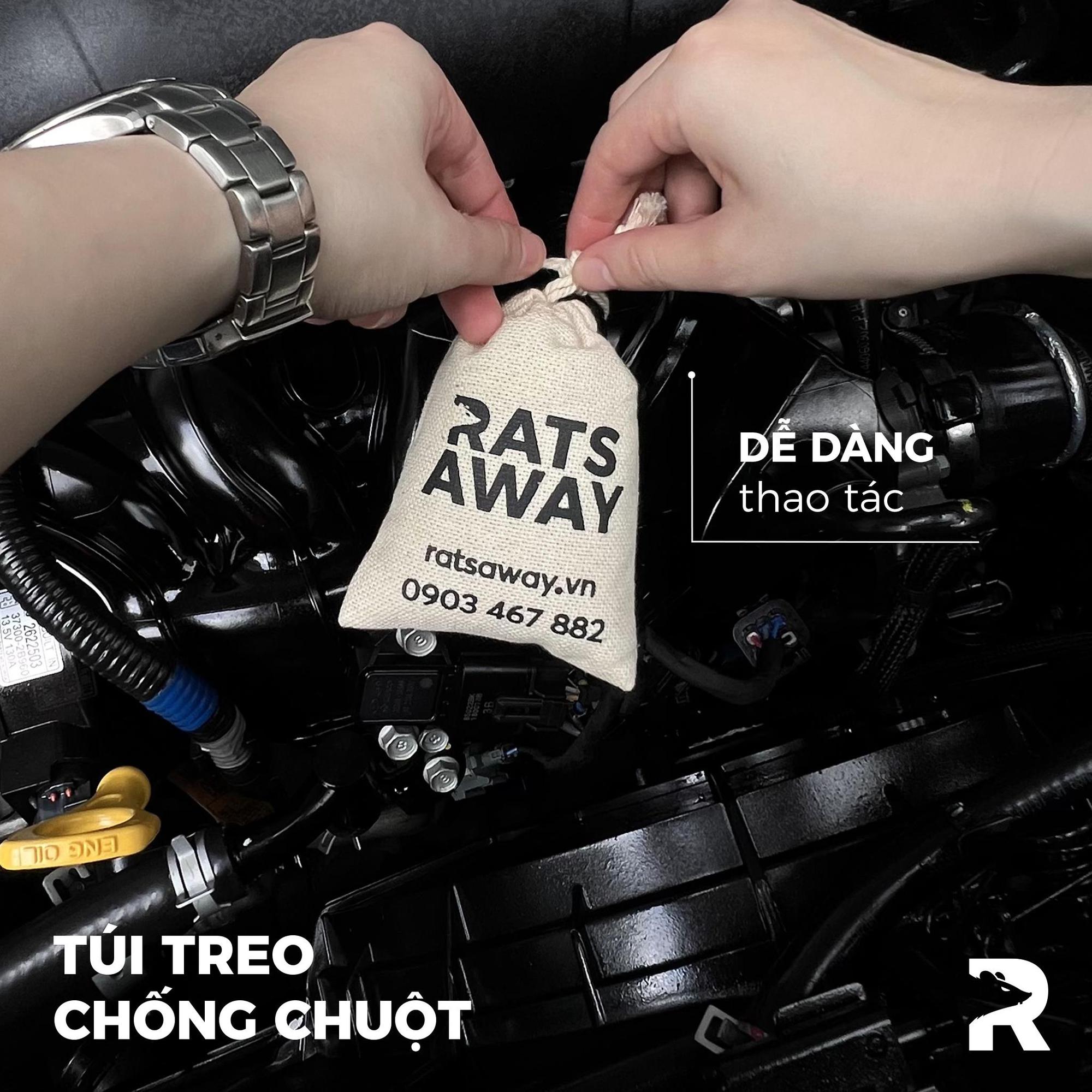 Rats Away - Bạn đồng hành bảo vệ chủ xe trước nỗi lo chuột cắn phá - Ảnh 3. Rats Away - Bạn đồng hành bảo vệ chủ xe trước nỗi lo chuột cắn phá - Ảnh 3.