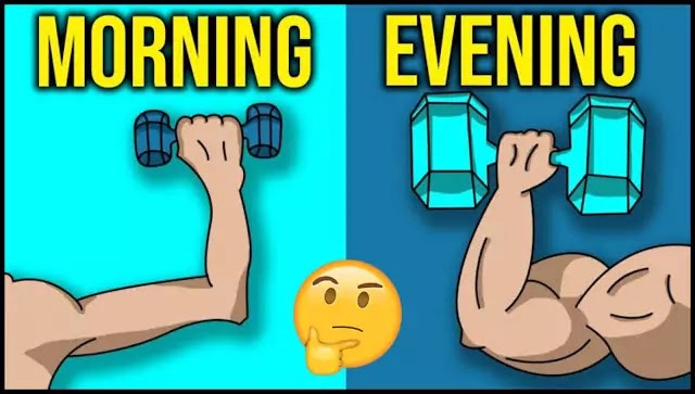 Tập thể dục để khoẻ thì lúc nào cũng được, nhưng nếu muốn giảm mỡ nhanh: Nữ nên tập sáng, nam nên tập tối - Ảnh 1. Tập thể dục để khoẻ thì lúc nào cũng được, nhưng nếu muốn giảm mỡ nhanh: Nữ nên tập sáng, nam nên tập tối - Ảnh 1.