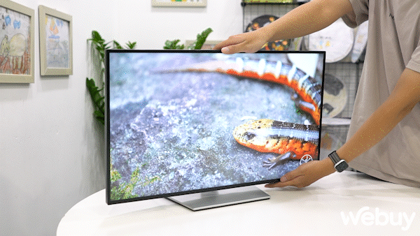 Chiếc m&agrave;n h&igrave;nh Dell n&agrave;y c&oacute; g&igrave; đặc biệt m&agrave; gặp t&igrave;nh trạng "ch&aacute;y h&agrave;ng" suốt 2 - 3 th&aacute;ng vừa qua? - Ảnh 6.