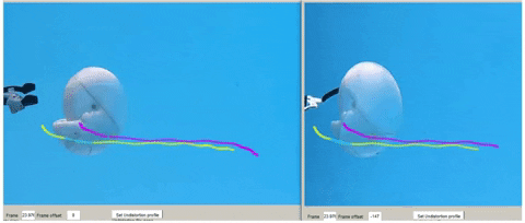 Mang sinh vật cổ đại trở lại dưới dạng robot - Ảnh 3.