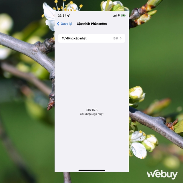 L&agrave;m g&igrave; khi bạn kh&ocirc;ng thể tải ứng dụng từ App Store cho iPhone? - Ảnh 11.