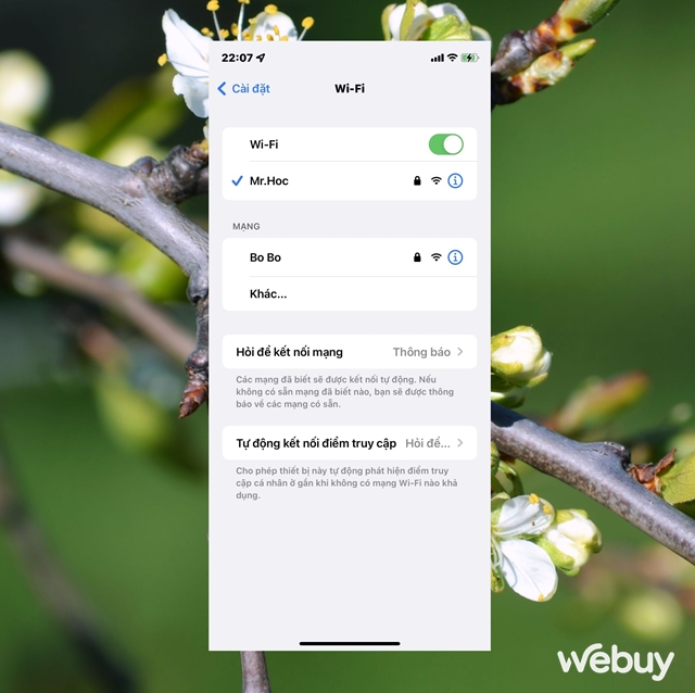 L&agrave;m g&igrave; khi bạn kh&ocirc;ng thể tải ứng dụng từ App Store cho iPhone? - Ảnh 2.