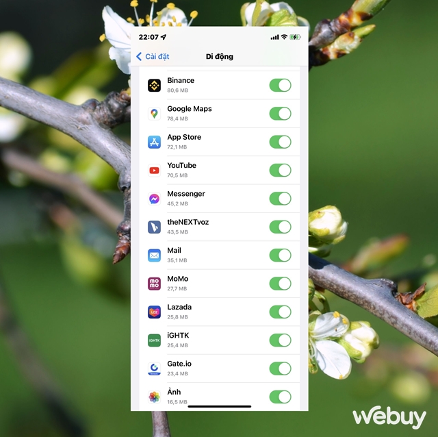 L&agrave;m g&igrave; khi bạn kh&ocirc;ng thể tải ứng dụng từ App Store cho iPhone? - Ảnh 3.