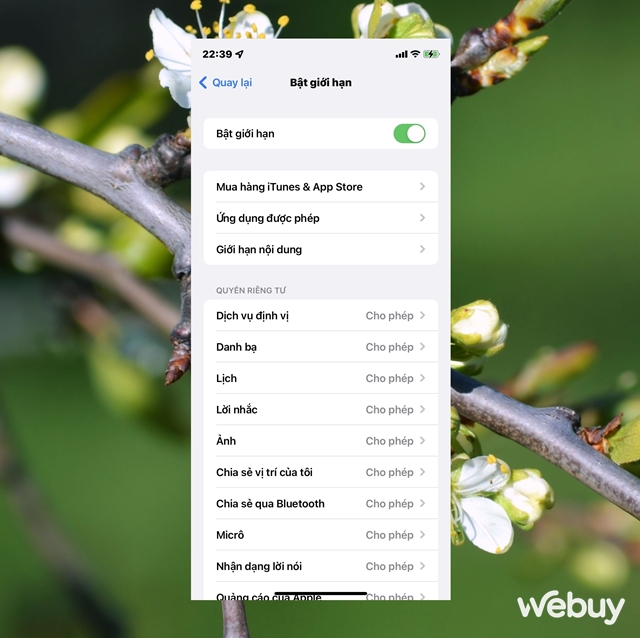 L&agrave;m g&igrave; khi bạn kh&ocirc;ng thể tải ứng dụng từ App Store cho iPhone? - Ảnh 6.