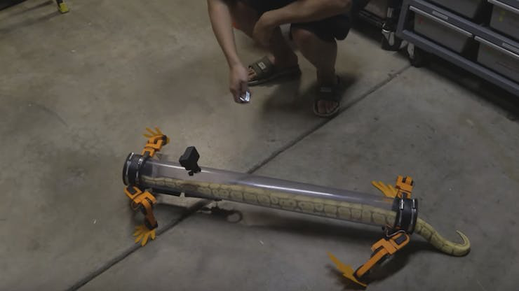 Đảo ngược tiến hóa, khoa học đã có thể giúp rắn "mọc thêm chân" - Ảnh 3. Đảo ngược tiến hóa, khoa học đã có thể giúp rắn "mọc thêm chân" - Ảnh 3.