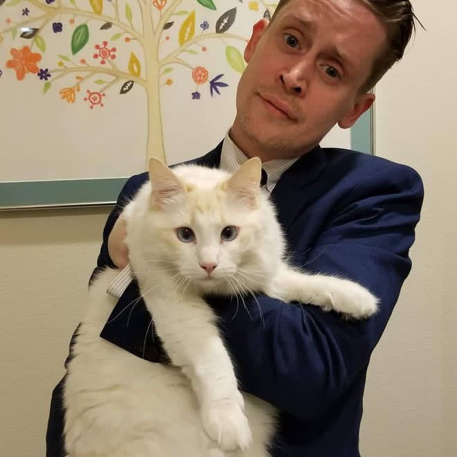 Sao nhí Ở Nhà Một Mình sau 32 năm: Hiện tượng toàn cầu làm nên lịch sử về cát xê, làm lại cuộc đời nhờ minh tinh gốc Việt - Ảnh 31. Sao nhí Ở Nhà Một Mình sau 32 năm: Hiện tượng toàn cầu làm nên lịch sử về cát xê, làm lại cuộc đời nhờ minh tinh gốc Việt - Ảnh 31.