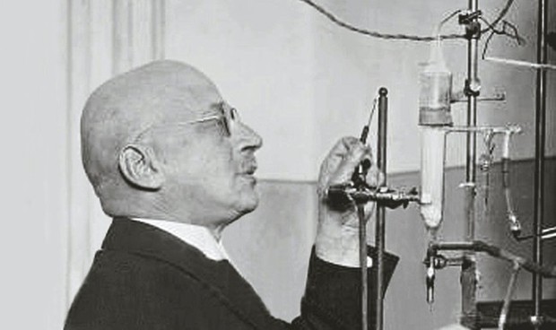 - Ảnh 1. - Ảnh 1.