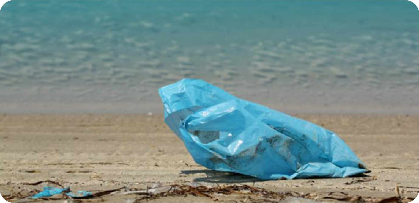 Hành trình xuyên lục địa bóc trần sự thật tệ hại đằng sau những lời hứa mĩ miều “tái sinh” túi nilon: Nước nghèo chịu trận - Ảnh 8. Hành trình xuyên lục địa bóc trần sự thật tệ hại đằng sau những lời hứa mĩ miều “tái sinh” túi nilon: Nước nghèo chịu trận - Ảnh 8.