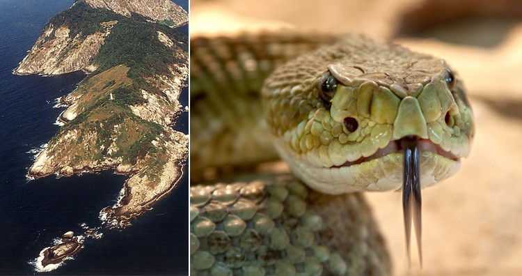 Mười hòn đảo kỳ lạ, được "cai trị" hoàn toàn bởi các loài động vật - Ảnh 8. Mười hòn đảo kỳ lạ, được "cai trị" hoàn toàn bởi các loài động vật - Ảnh 8.