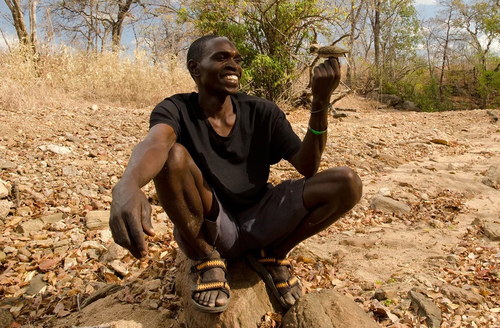 Honeyguides: Loài chim hoang dã có thể giao tiếp và làm việc cùng với con người vì một mục tiêu chung - Ảnh 1. Honeyguides: Loài chim hoang dã có thể giao tiếp và làm việc cùng với con người vì một mục tiêu chung - Ảnh 1.