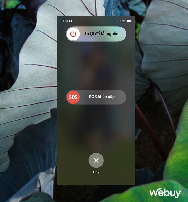 iCloud trên thiết bị của bạn không hoạt động? Đây là các giải pháp khắc phục dành cho bạn - Ảnh 2. iCloud trên thiết bị của bạn không hoạt động? Đây là các giải pháp khắc phục dành cho bạn - Ảnh 2.