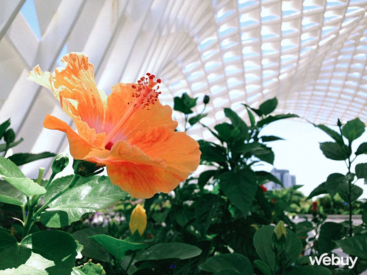 2022 rồi vẫn cố chấp mang iPhone 5C đi chụp ảnh du lịch, kết quả quá bất ngờ - Ảnh 12. 2022 rồi vẫn cố chấp mang iPhone 5C đi chụp ảnh du lịch, kết quả quá bất ngờ - Ảnh 12.