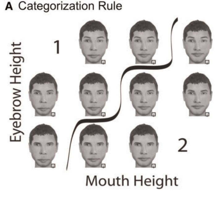 Người phụ nữ mắc chứng mù mặt: Cô ấy không phân biệt được bất cứ ai, kể cả chồng của mình - Ảnh 19. Người phụ nữ mắc chứng mù mặt: Cô ấy không phân biệt được bất cứ ai, kể cả chồng của mình - Ảnh 19.
