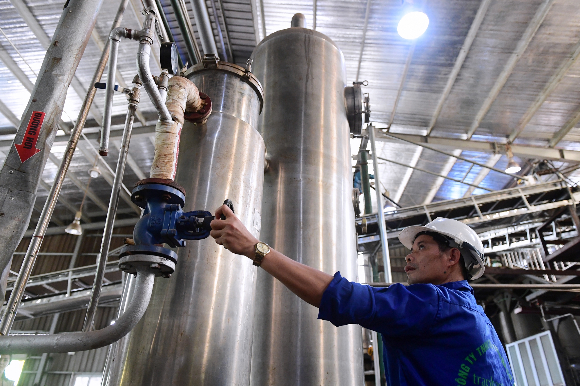 “Người tự đi đày” ở Traphaco và khát khao “đưa thảo dược lên bàn ăn, vào tour du lịch” - Ảnh 9. “Người tự đi đày” ở Traphaco và khát khao “đưa thảo dược lên bàn ăn, vào tour du lịch” - Ảnh 9.