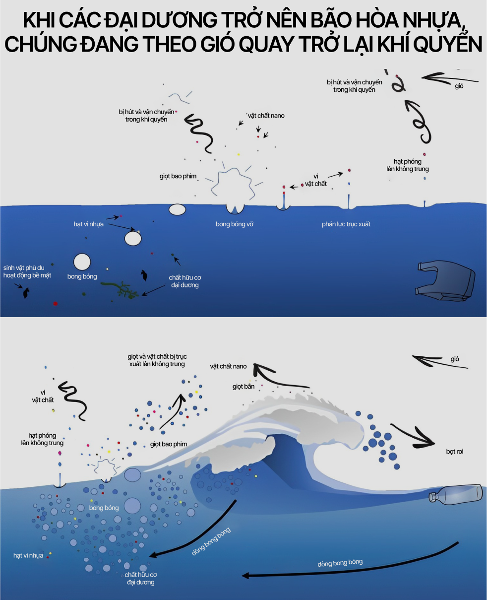 Chúng ta đang hít vào phổi 270 hạt vi nhựa mỗi ngày: Đó là một loại thuốc lá, một dạng mưa axit kiểu mới - Ảnh 5. Chúng ta đang hít vào phổi 270 hạt vi nhựa mỗi ngày: Đó là một loại thuốc lá, một dạng mưa axit kiểu mới - Ảnh 5.