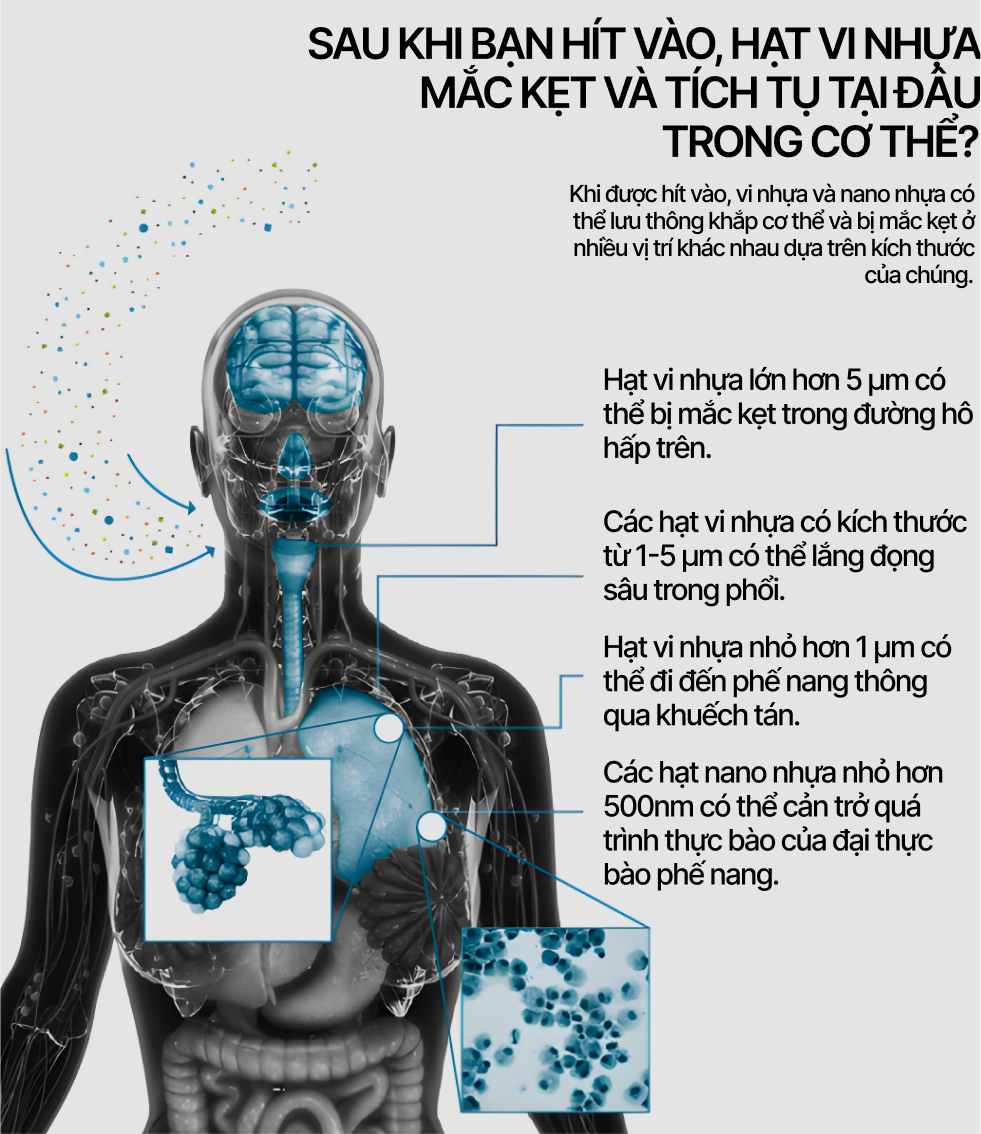 Chúng ta đang hít vào phổi 270 hạt vi nhựa mỗi ngày: Đó là một loại thuốc lá, một dạng mưa axit kiểu mới - Ảnh 12. Chúng ta đang hít vào phổi 270 hạt vi nhựa mỗi ngày: Đó là một loại thuốc lá, một dạng mưa axit kiểu mới - Ảnh 12.