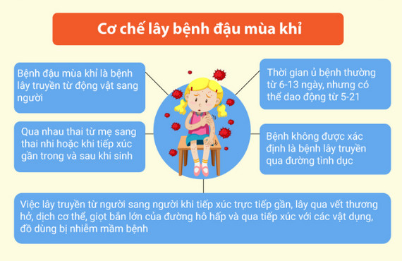 Việt Nam ghi nhận 4 ca nhiễm đậu mùa khỉ trong cộng đồng: Chuyên gia cảnh báo đó mới chỉ là "phần nổi của tảng băng" - Ảnh 6. Việt Nam ghi nhận 4 ca nhiễm đậu mùa khỉ trong cộng đồng: Chuyên gia cảnh báo đó mới chỉ là "phần nổi của tảng băng" - Ảnh 6.