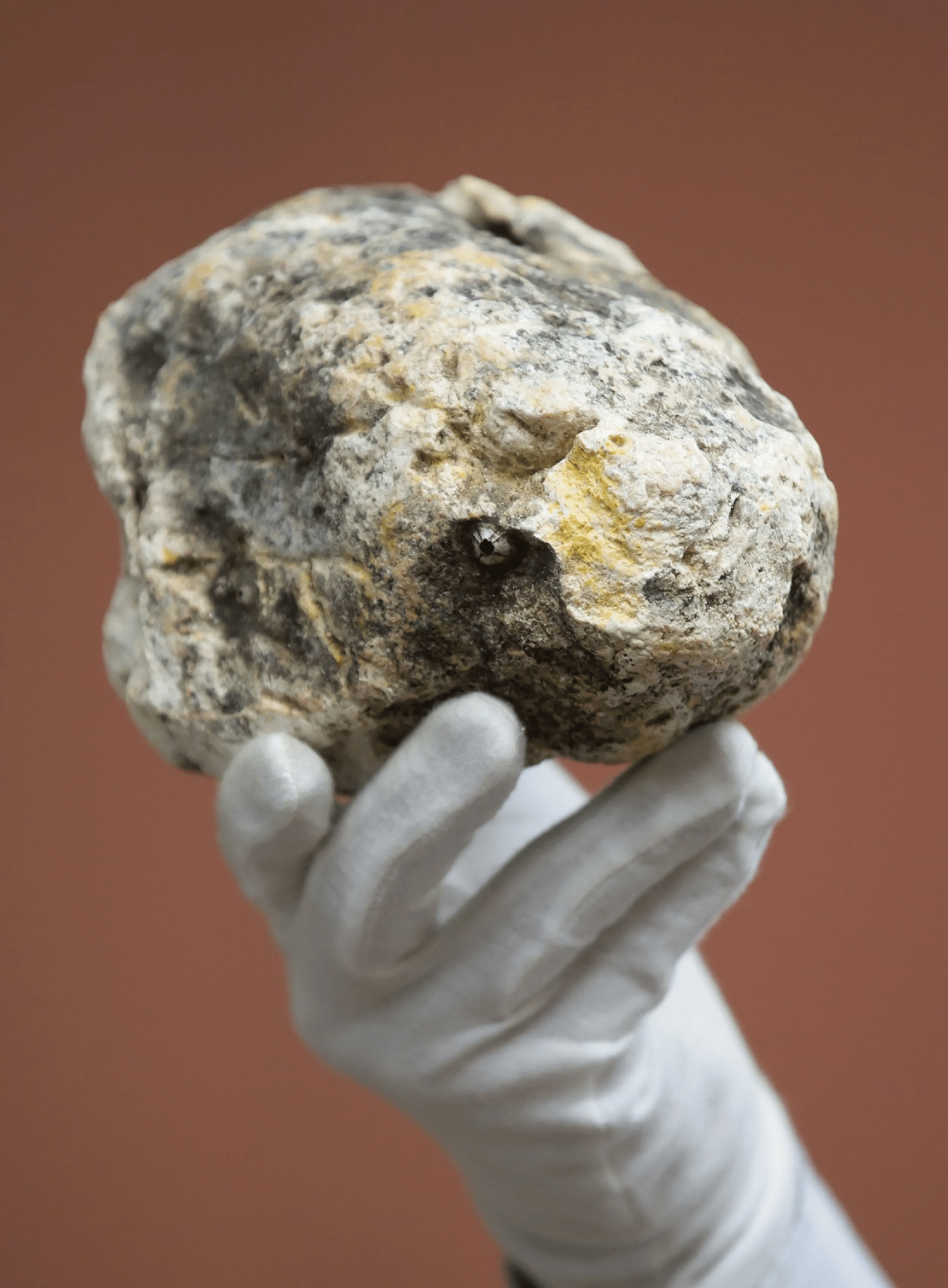 Loại vàng mệnh danh "nước bọt rồng" bị săn nhiều nhất thế giới: Càng trắng càng đắt - Ảnh 1. Loại vàng mệnh danh "nước bọt rồng" bị săn nhiều nhất thế giới: Càng trắng càng đắt - Ảnh 1.