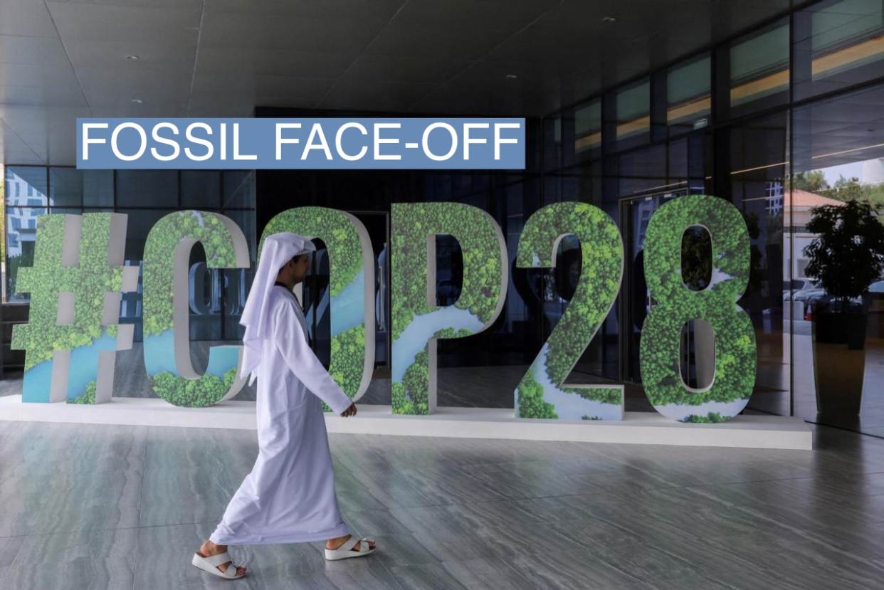 Hơn 60 quốc gia ủng hộ thỏa thuận tăng gấp 3 lần năng lượng tái tạo trong thập kỷ này - Ảnh 1. Hơn 60 quốc gia ủng hộ thỏa thuận tăng gấp 3 lần năng lượng tái tạo trong thập kỷ này - Ảnh 1.