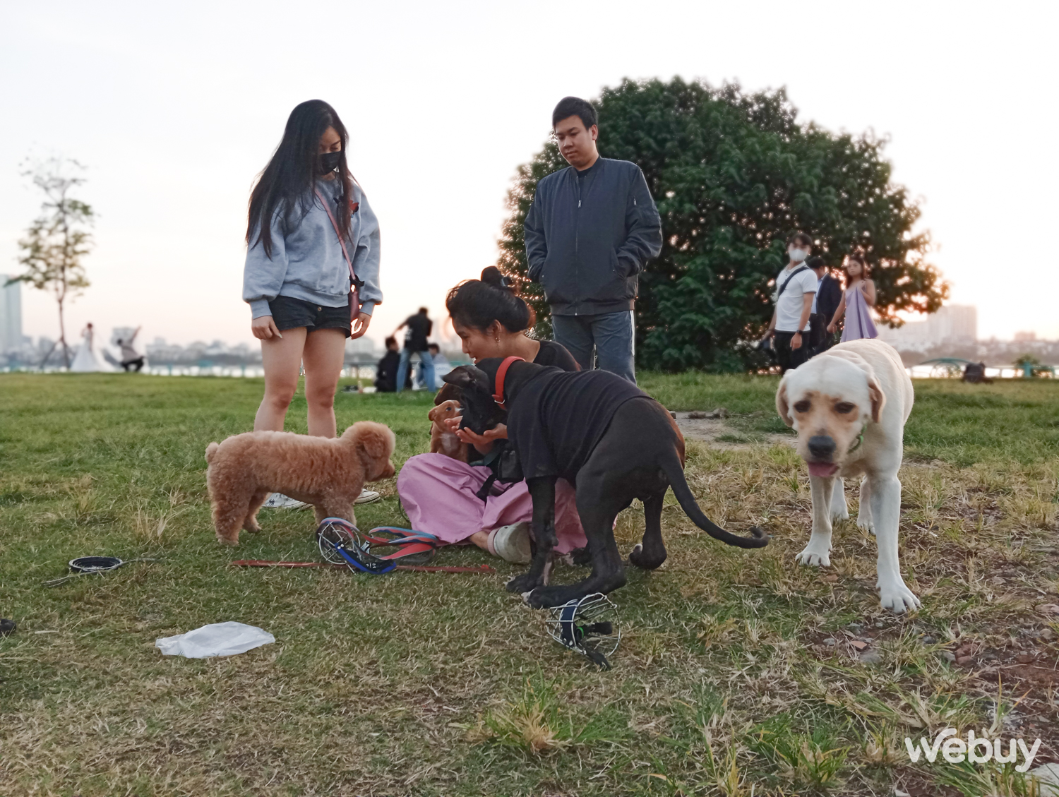 Đánh giá Redmi 13C: Smartphone giá 'sinh viên' với màn hình lớn tần số 90Hz, camera chính 50MP- Ảnh 18. Đánh giá Redmi 13C: Smartphone giá 'sinh viên' với màn hình lớn tần số 90Hz, camera chính 50MP- Ảnh 18.