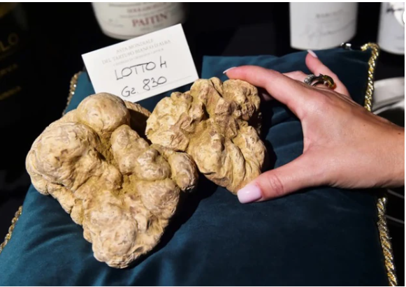 Đem "cục đất" chó cưng đào được đi kiểm định, chủ nhân choáng váng khi biết giá trị thật của nó - Ảnh 6. Đem "cục đất" chó cưng đào được đi kiểm định, chủ nhân choáng váng khi biết giá trị thật của nó - Ảnh 6.