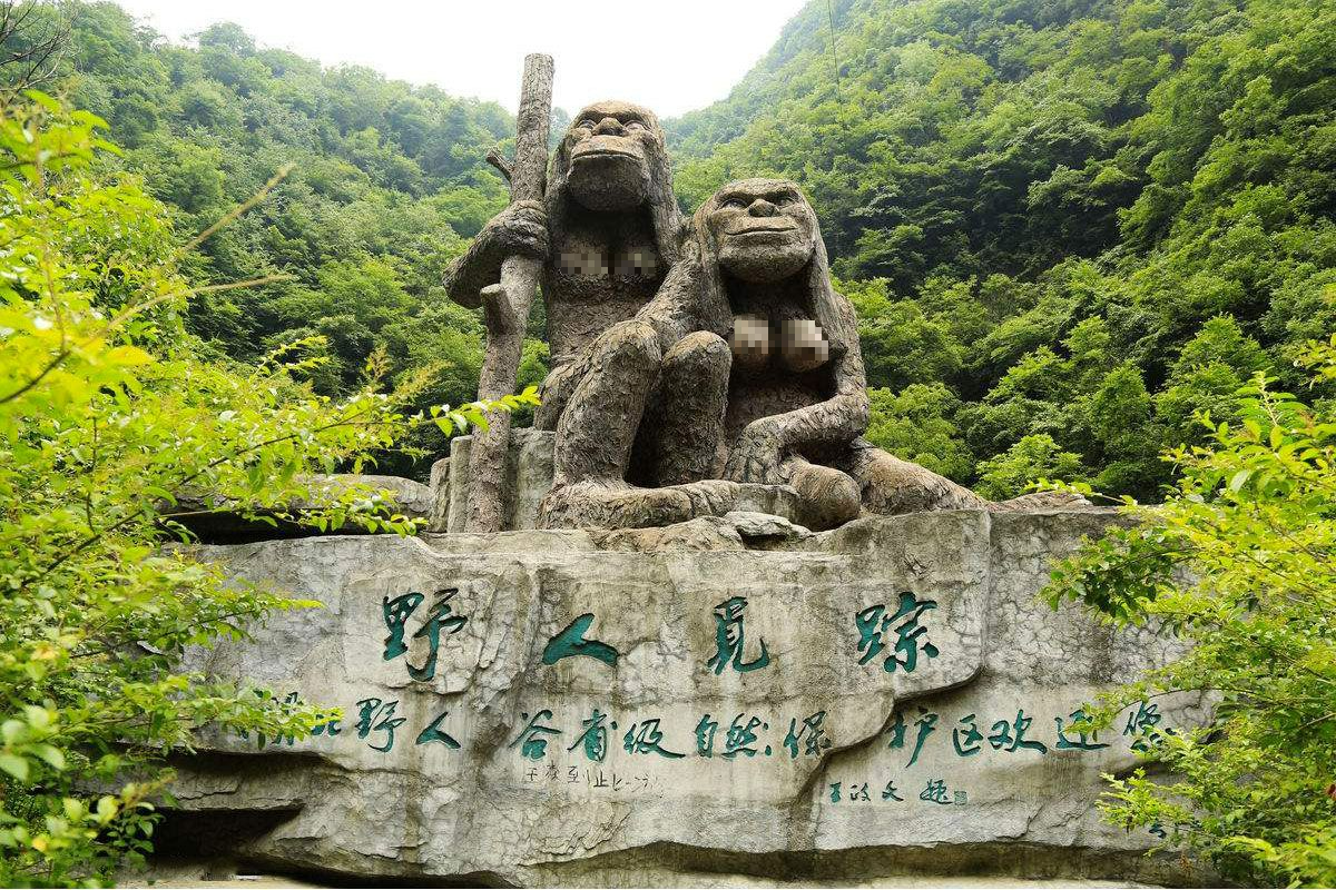 Bí mật sâu trong Shennongjia: Đằng sau khu vực cấm ẩn giấu điều gì? - Ảnh 1. Bí mật sâu trong Shennongjia: Đằng sau khu vực cấm ẩn giấu điều gì? - Ảnh 1.