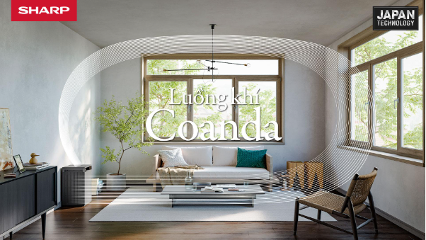 Máy lọc khí Sharp Purefit - khi hiệu suất vượt trội cộng hưởng cùng thiết kế tinh tế- Ảnh 3. Máy lọc khí Sharp Purefit - khi hiệu suất vượt trội cộng hưởng cùng thiết kế tinh tế- Ảnh 3.