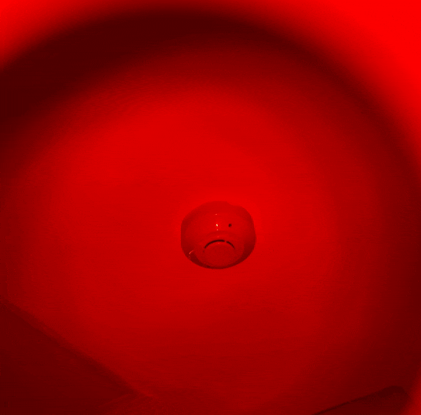 6 phụ ki&ecirc;̣n Baseus chúng t&ocirc;i đã trải nghi&ecirc;̣m trong 2023: Đ&ocirc;̀ &acirc;m thanh rẻ mà "ngon", có 1 thứ ai cũng c&acirc;̀n khi du lịch- Ảnh 19.