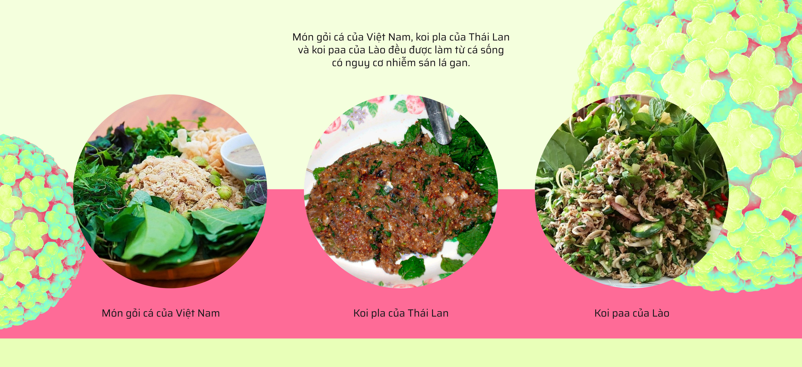 M&oacute;n ăn c&oacute; thể khiến bạn mắc ung thư chỉ từ một miếng cắn- Ảnh 17.