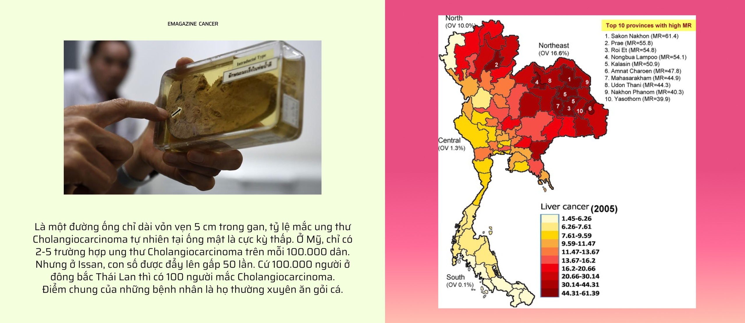M&oacute;n ăn c&oacute; thể khiến bạn mắc ung thư chỉ từ một miếng cắn- Ảnh 10.