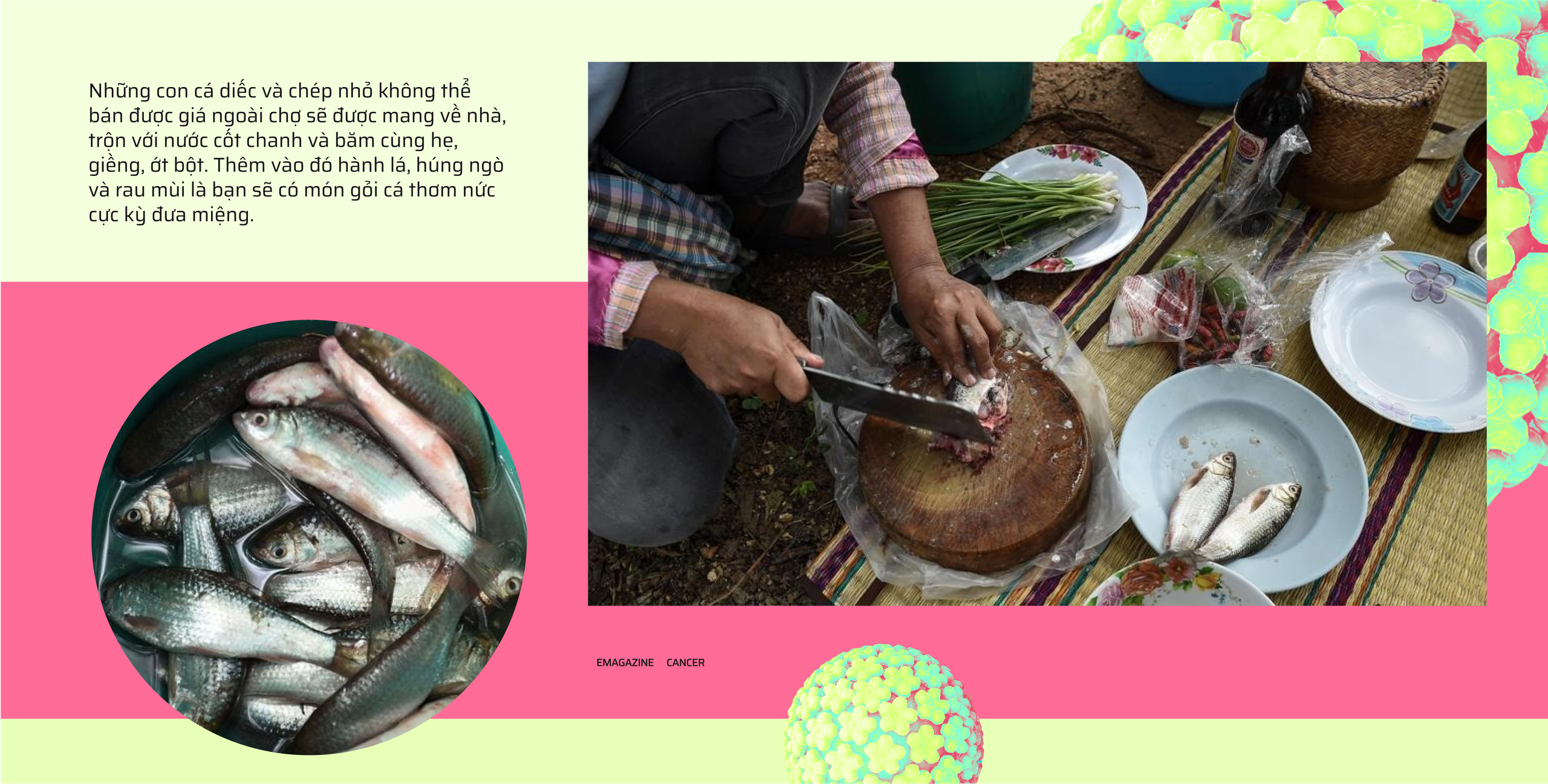 M&oacute;n ăn c&oacute; thể khiến bạn mắc ung thư chỉ từ một miếng cắn- Ảnh 8.