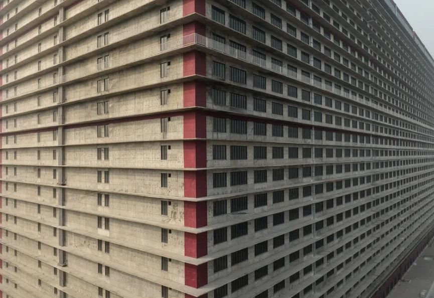 Choáng với 'chung cư lợn' khổng lồ ở làng quê Trung Quốc: Có trung tâm giám sát như NASA, vận hành chính xác ngang dây chuyền sản xuất iPhone của Foxconn - Ảnh 1. Choáng với 'chung cư lợn' khổng lồ ở làng quê Trung Quốc: Có trung tâm giám sát như NASA, vận hành chính xác ngang dây chuyền sản xuất iPhone của Foxconn - Ảnh 1.