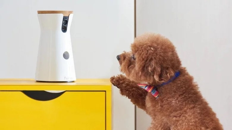 Những tiện ích thông minh thú vị mà nhiều người không biết chúng thực sự tồn tại - Ảnh 10. Những tiện ích thông minh thú vị mà nhiều người không biết chúng thực sự tồn tại - Ảnh 10.