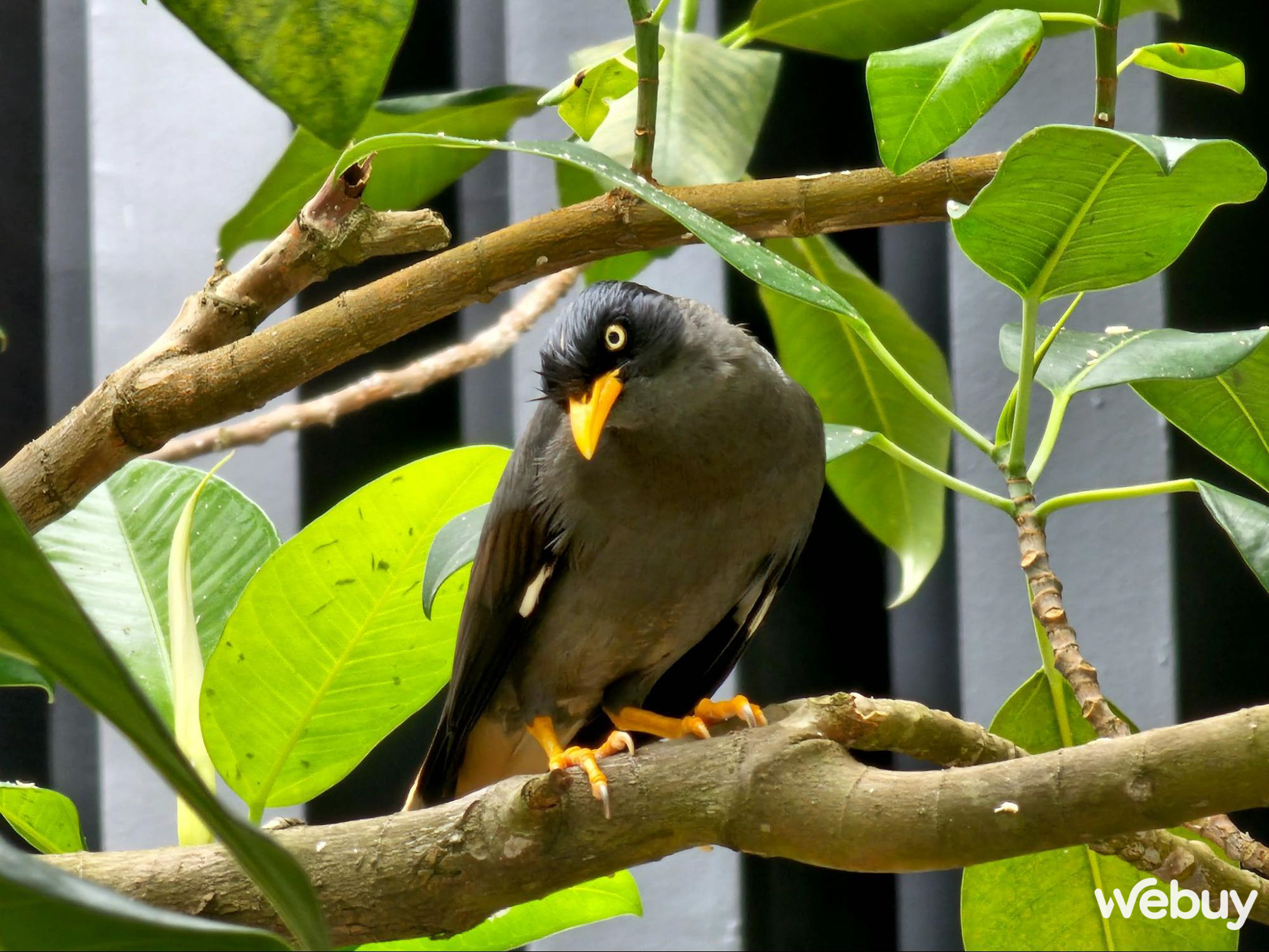 Tôi đã dùng Galaxy S23 Ultra đủ lâu để đánh giá giúp bạn có nên mua máy hay không - Ảnh 12. Tôi đã dùng Galaxy S23 Ultra đủ lâu để đánh giá giúp bạn có nên mua máy hay không - Ảnh 12.