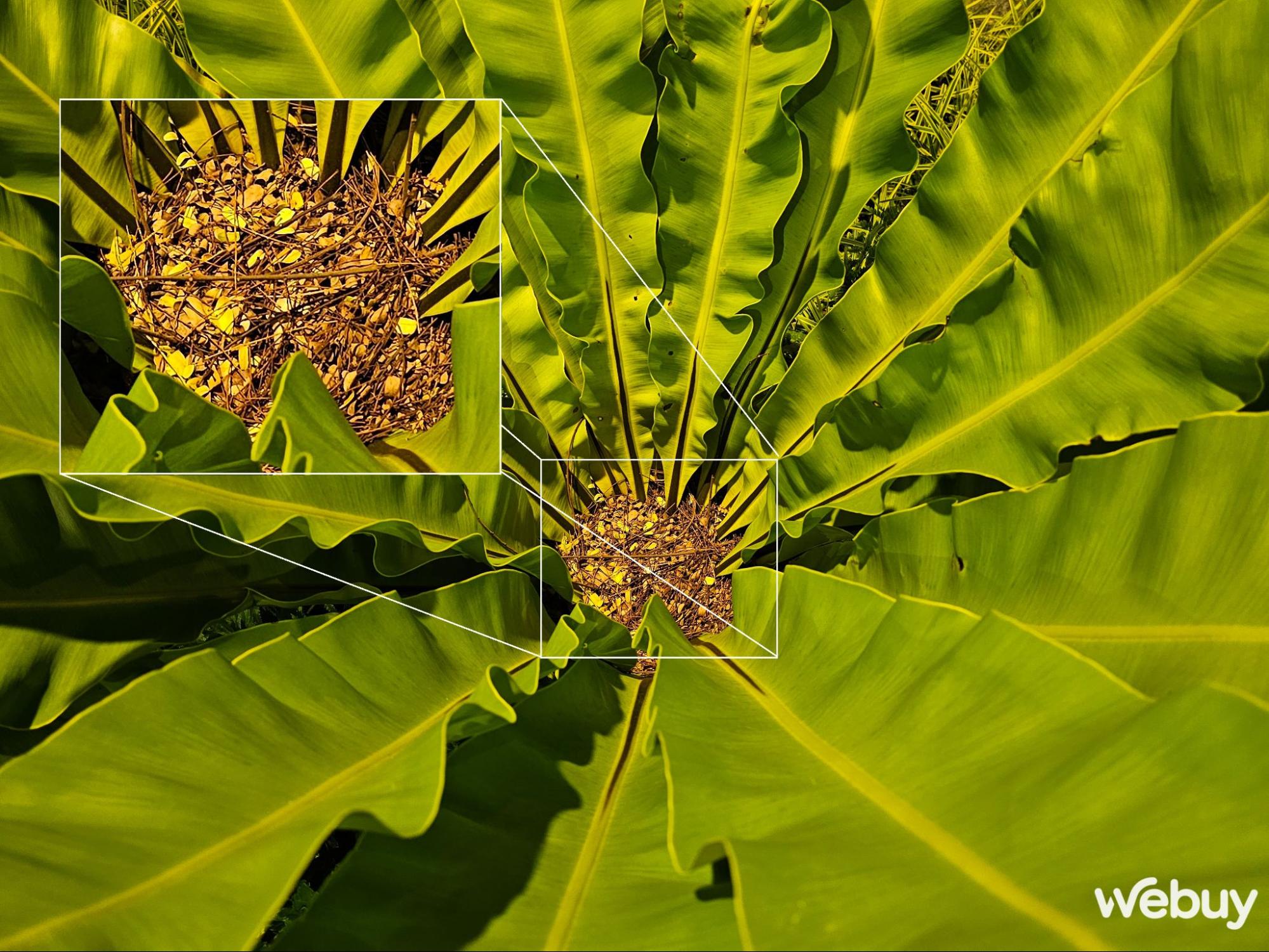 Tôi đã dùng Galaxy S23 Ultra đủ lâu để đánh giá giúp bạn có nên mua máy hay không - Ảnh 14. Tôi đã dùng Galaxy S23 Ultra đủ lâu để đánh giá giúp bạn có nên mua máy hay không - Ảnh 14.