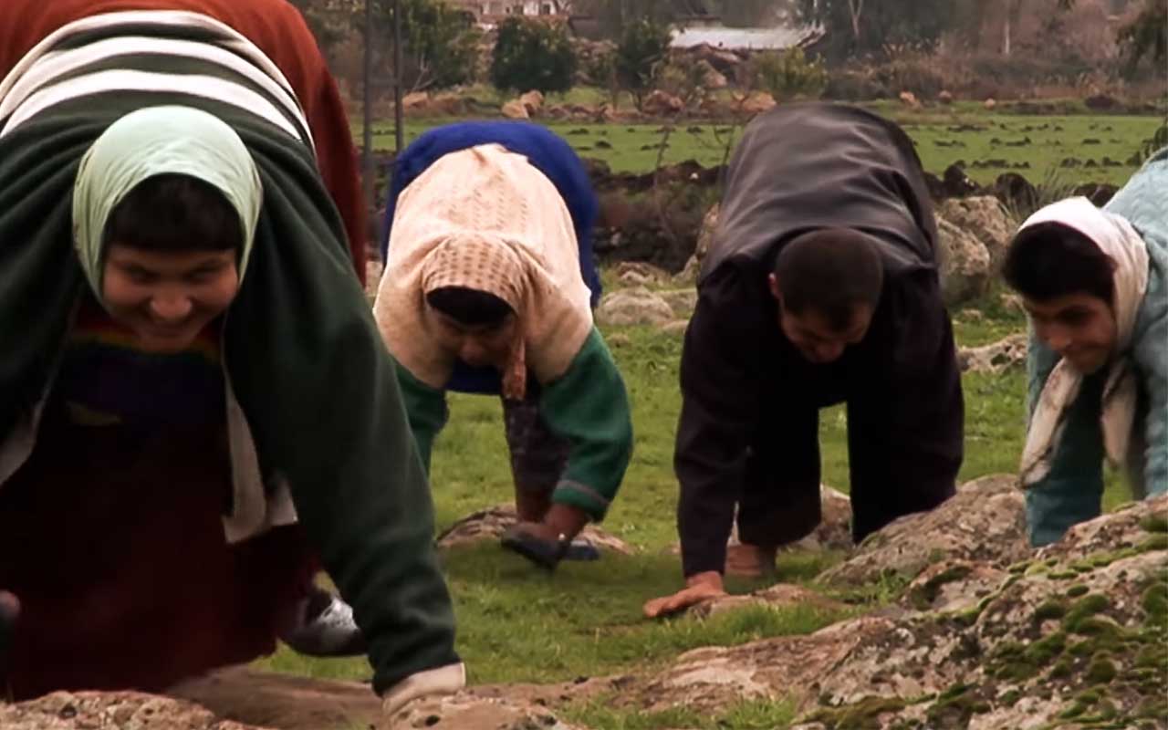 Làm thế nào mà một gia đình đi bằng bốn chân lại khiến các nhà khoa học bối rối trong nhiều năm? - Ảnh 3. Làm thế nào mà một gia đình đi bằng bốn chân lại khiến các nhà khoa học bối rối trong nhiều năm? - Ảnh 3.