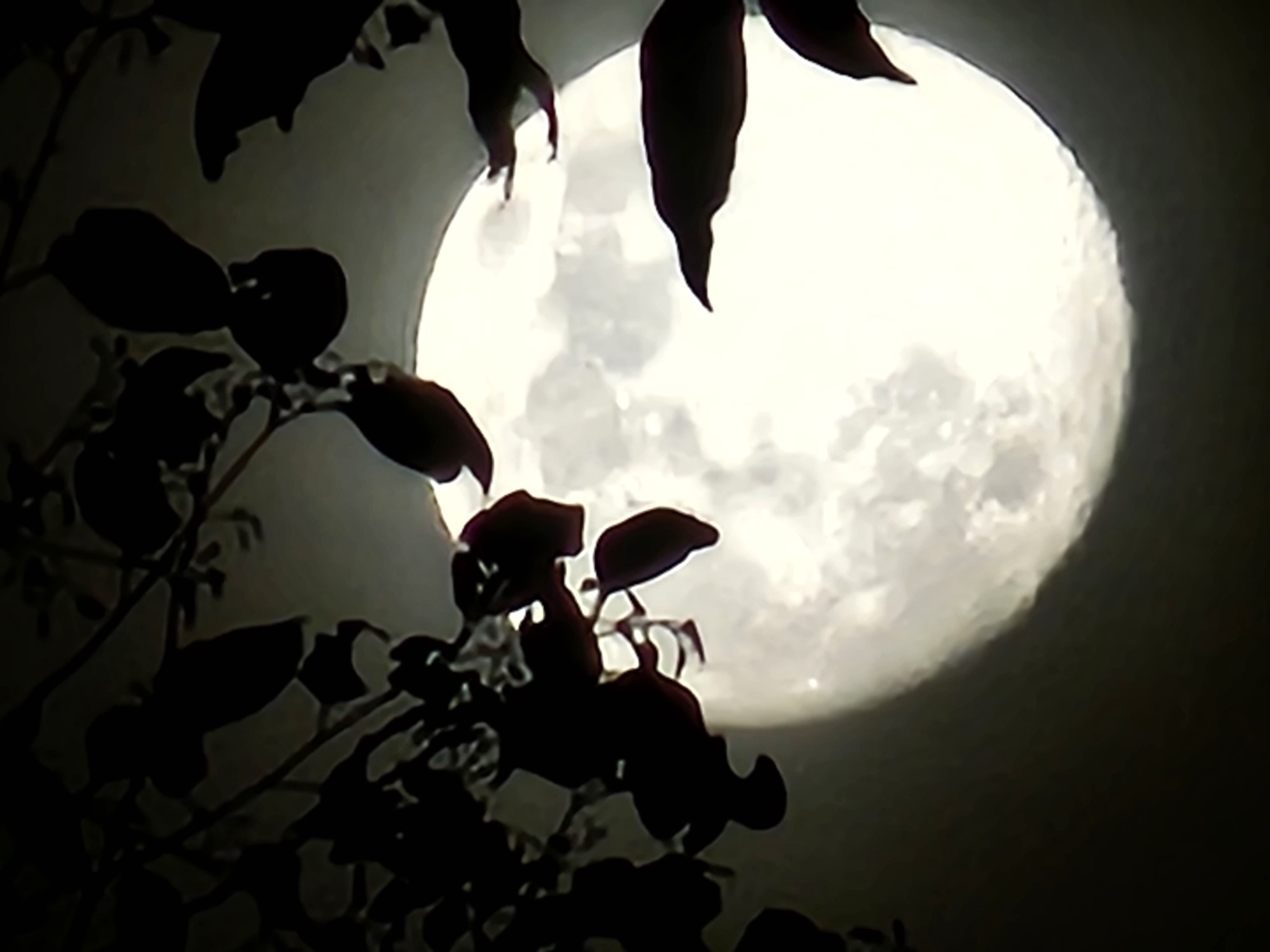 Nhìn từ khả năng “Space Zoom” chụp trăng của Galaxy S23 Ultra, câu chuyện thật - giả giữa AI và nhiếp ảnh - Ảnh 9. Nhìn từ khả năng “Space Zoom” chụp trăng của Galaxy S23 Ultra, câu chuyện thật - giả giữa AI và nhiếp ảnh - Ảnh 9.