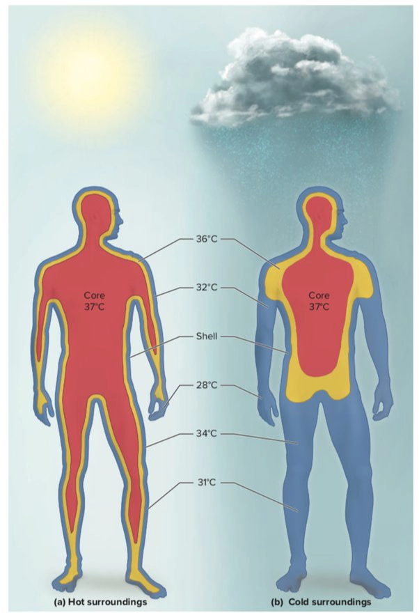 Giảm 10 độ C, miền Bắc sắp trở mưa lạnh giữa nắng n&oacute;ng: Đ&oacute; l&agrave; kiểu "thời tiết yo-yo" rất độc với sức khỏe - Ảnh 6.