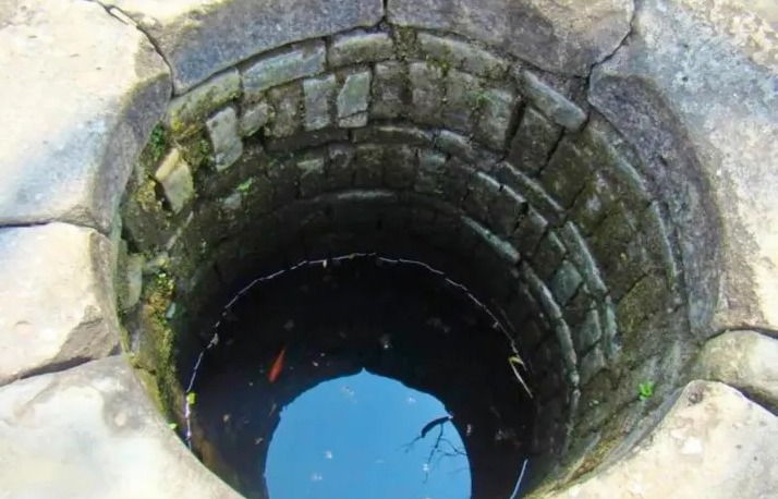 Vì sao cá được nuôi trong giếng hay bể nước mưa không thể lớn? - Ảnh 4. Vì sao cá được nuôi trong giếng hay bể nước mưa không thể lớn? - Ảnh 4.