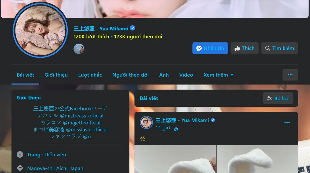 Vì sao nhiều fanpage tích xanh diễn viên phim người lớn Nhật Bản lại do người Việt quản lý? - Ảnh 2. Vì sao nhiều fanpage tích xanh diễn viên phim người lớn Nhật Bản lại do người Việt quản lý? - Ảnh 2.