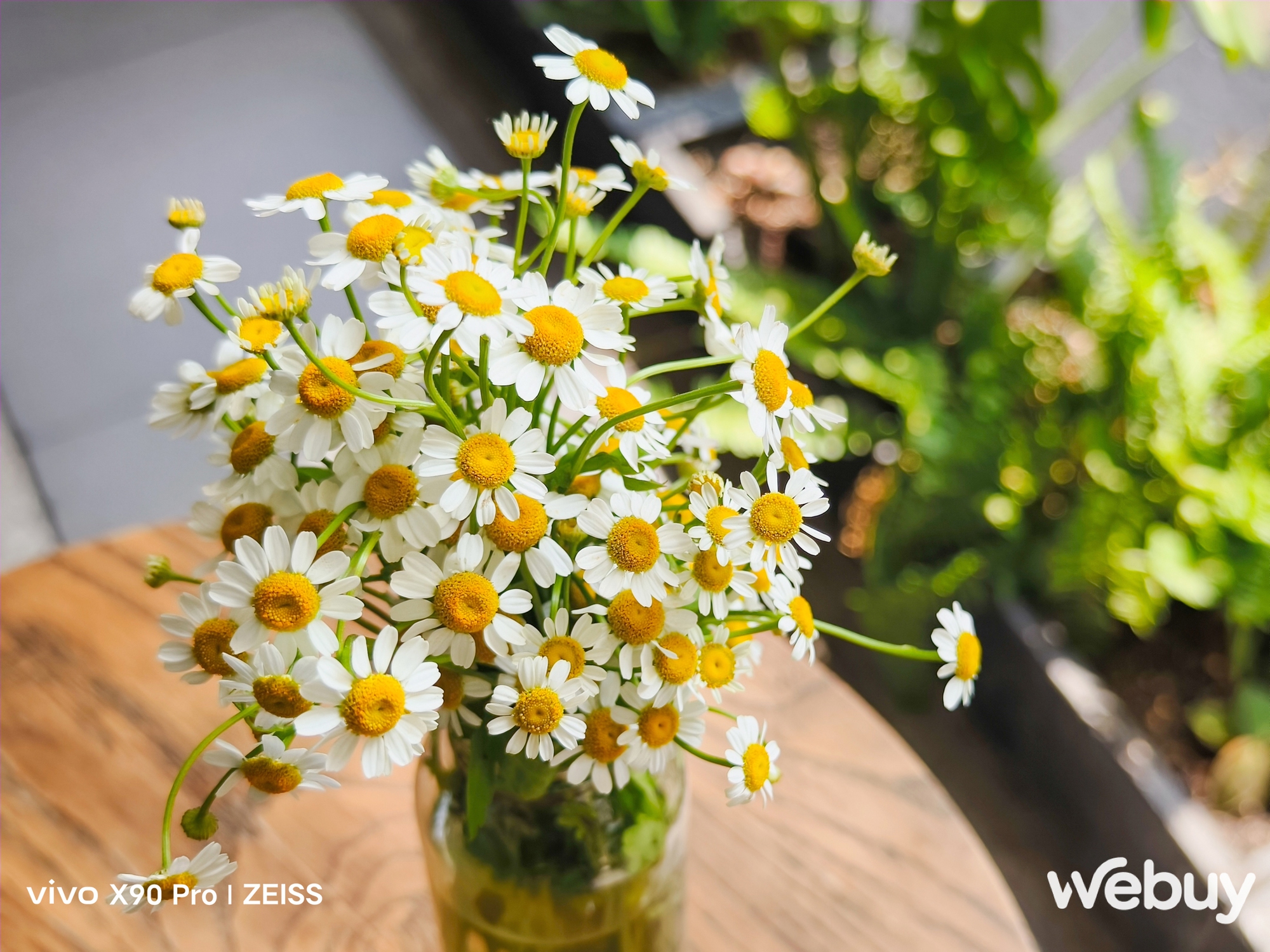 Thử so camera vivo X90 Pro và Xiaomi 13 Pro: Cân tài cân sức nhưng có một chiếc điện thoại nhỉnh hơn ở chi tiết này - Ảnh 6. Thử so camera vivo X90 Pro và Xiaomi 13 Pro: Cân tài cân sức nhưng có một chiếc điện thoại nhỉnh hơn ở chi tiết này - Ảnh 6.