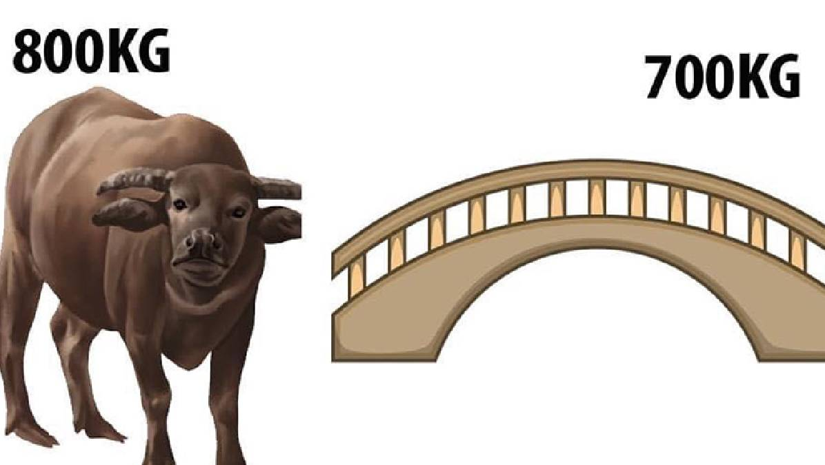 photo-1681360558237 photo-1681360558237